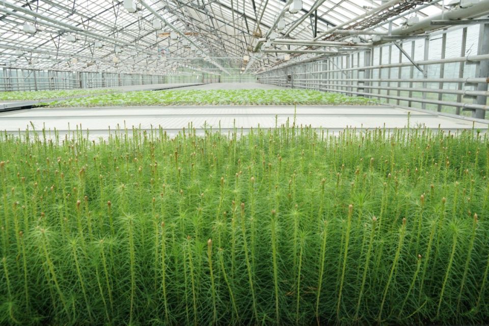 ������ ������: � ���� ���� ����� ��� ������ ����� �������� ���������� ������������� - �� ��� ������������ �� ������������ ������� �������� ����� 59 ��� ������