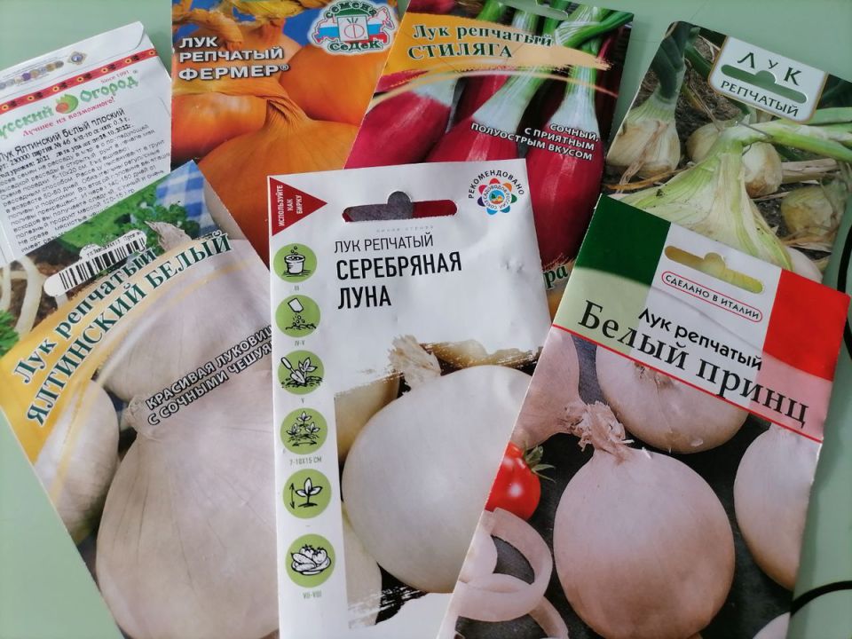 Секреты успешного выращивания репчатого лука и порея: опыт садоводов