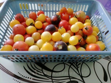 ����������� ������ �� �����������: ��� �������� ������ � �����