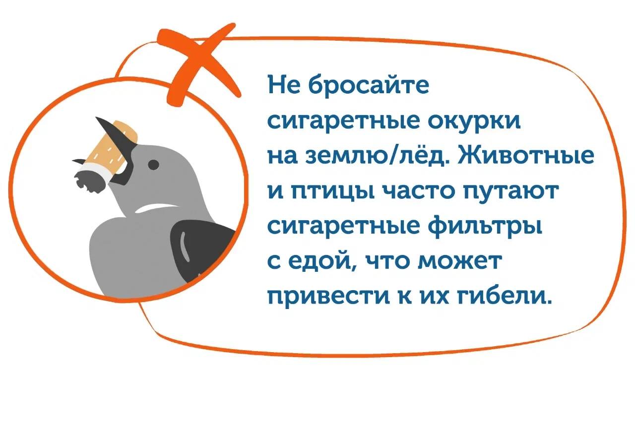 Зима на Байкале: как вести себя, чтобы духи не прокляли Зима на Байкале: как вести себя, чтобы духи не прокляли