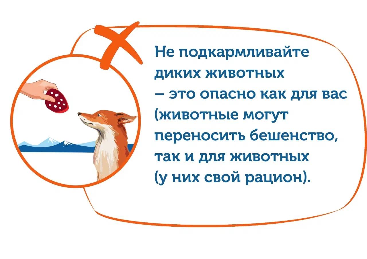Зима на Байкале: как вести себя, чтобы духи не прокляли Зима на Байкале: как вести себя, чтобы духи не прокляли