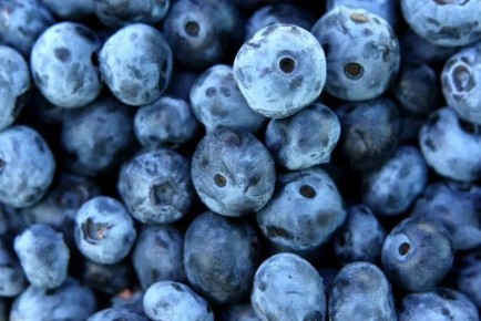 Голубика: что нужно знать о пользе и свойствах этой ягоды