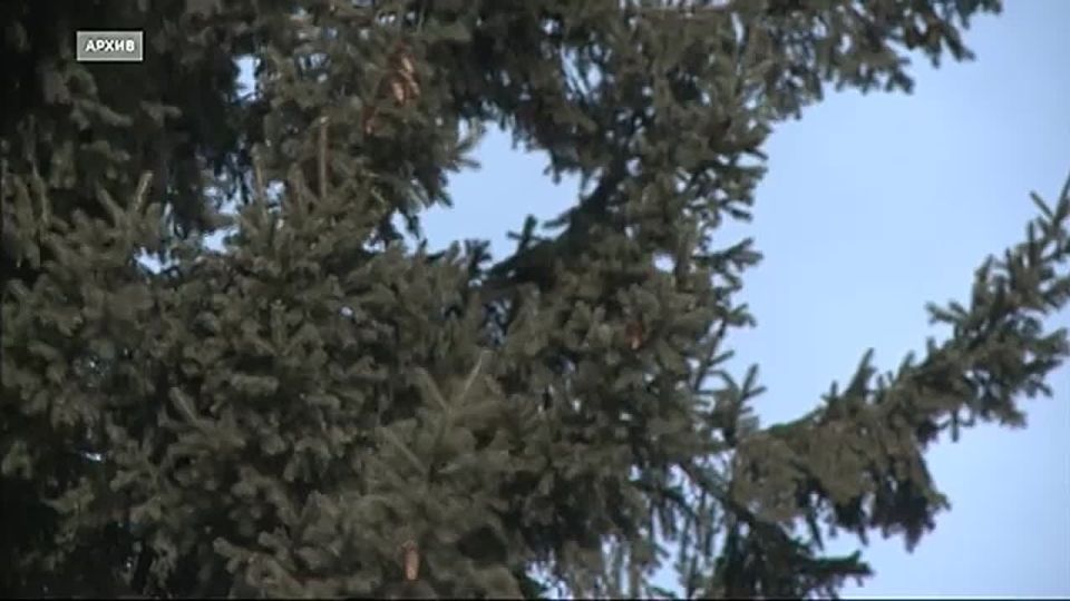 ���� ��������� ���������� ����� �������