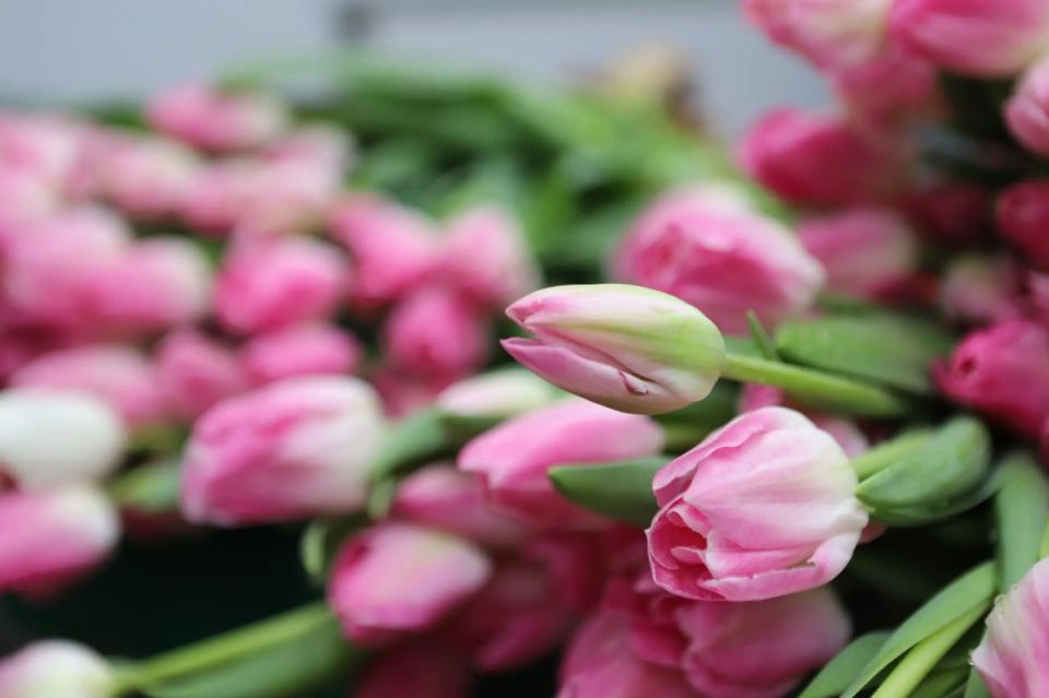  �������� ������������� ��������� ������ ���������� ������ ���������: �8������ ����� ������ 1�200�000 ����