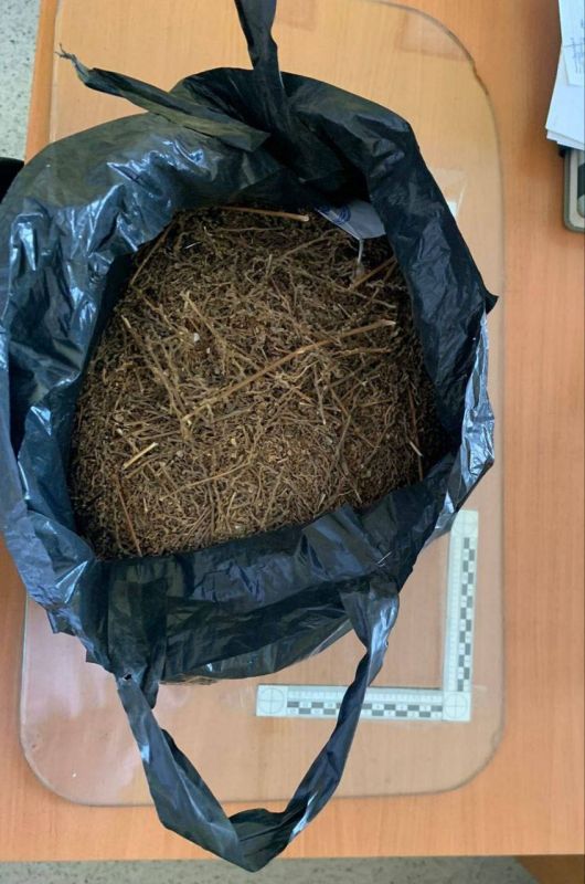 � ��������� ������� ������������ ����������� ��������� ������� � ���������� � �����