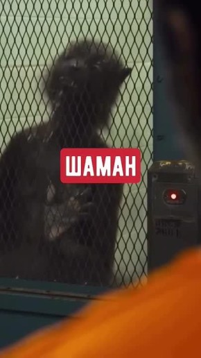 ������� ��� ��� �������� ����� ��� ���������� �����, ��� SHAMAN ���������� ����������� ��� �� ����