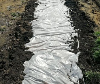 ��� ������ � �������� ������ �������� �������� ��������