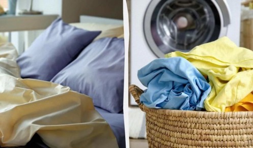 ��� ��������� ������� ���������� �����: ������ �� ������� � �������