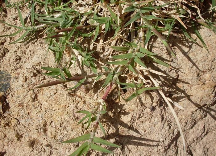 ��� ���������� ���������� � ��������� �� ����� �������