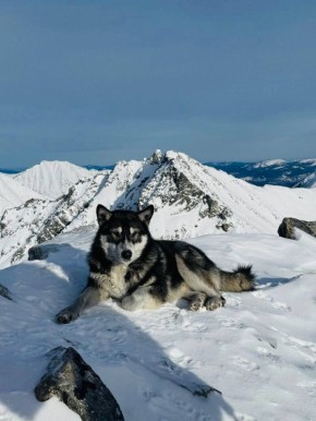 ������ ����, ��������� �������!