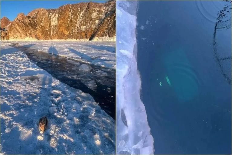 �� ������ ����� ������ ��. ������������ ��������� �������� ��������� � ������� �������� ������� ����