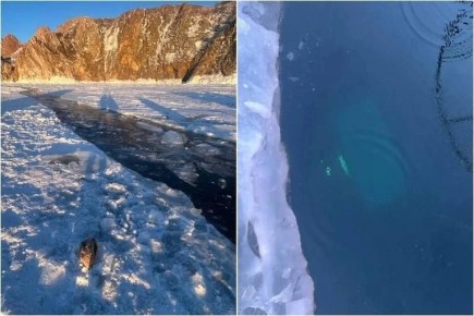 �� ������ ����� ������ ��. ������������ ��������� �������� ��������� � ������� �������� ������� ����