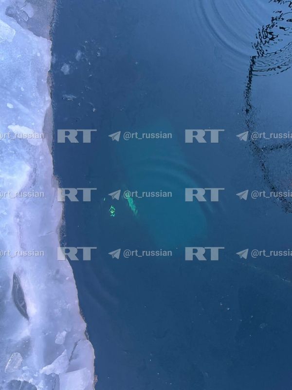 ����������, ��� ������ � ��������� �� ��� ������� � �������, �� ��� ���������� ���������������