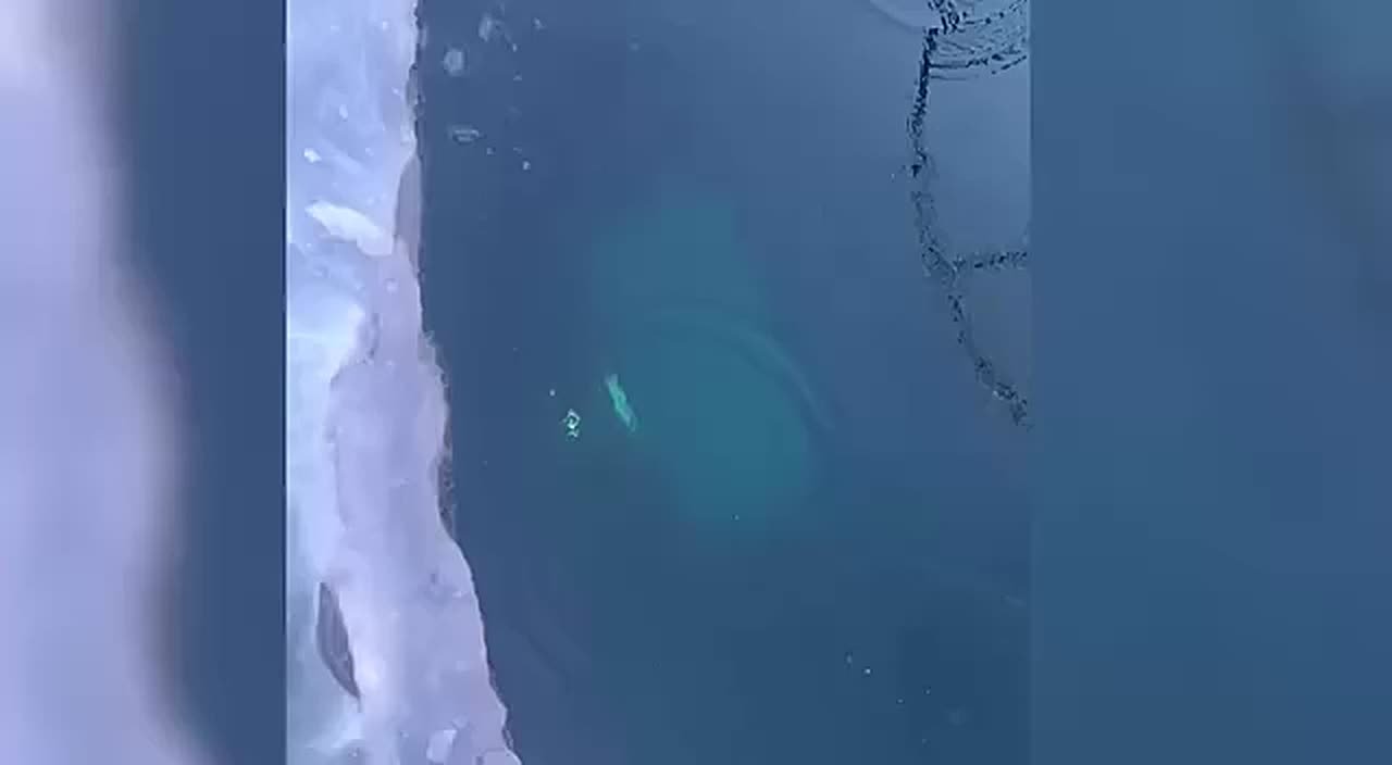 Установлены личности всех находившихся в «УАЗе», провалившемся под лед Байкала