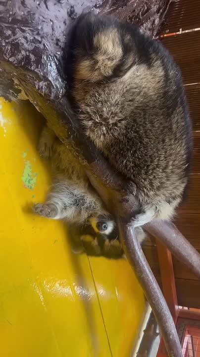 Утро в субботу — оно такое