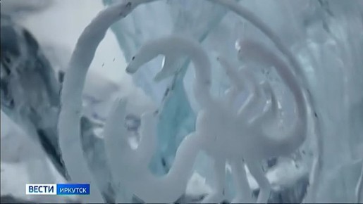 12-� ��������� �������� ��������� ����� �� ������� �������� � ���������