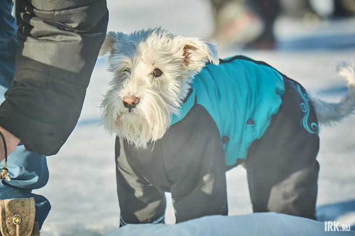 ������ ������, ������ :( 22-26 ������� � �������� ������������ ��������� �������� ������