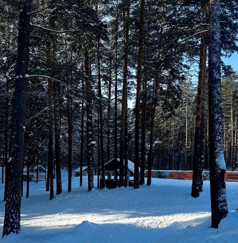 Доброе утро, Иркутск!. Фото: КП-Иркутск