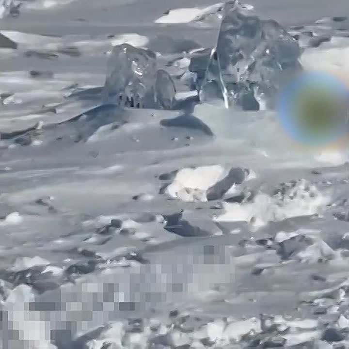 ������, ��� "�������" � ���������� ��������� ���� ��� ���� �� �������, ����� �� ������