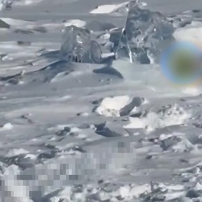 ������, ��� "�������" � ���������� ��������� ���� ��� ���� �� �������, ����� �� ������