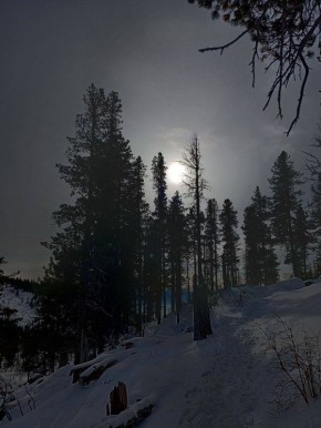 ������ ����, ��������� �������!