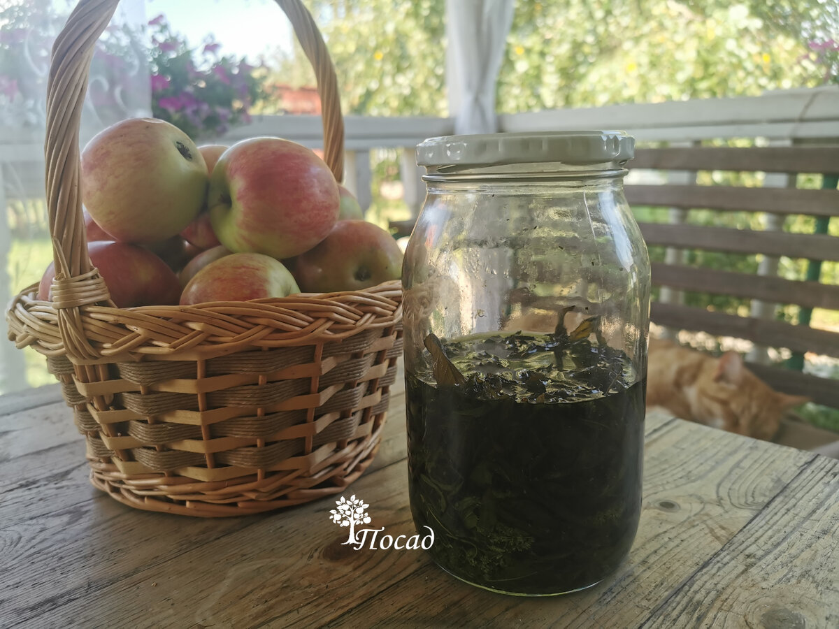 Уникальный мятный ликёр: как создать собственную ратафию