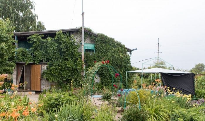 Садоводство как секрет здоровья: меньше болей в коленях и артрита у пожилых