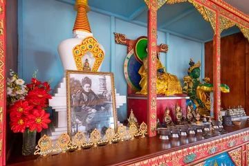 Обезьянам стоит быть осторожнее и беречь свои силы: о чем предупреждает зурхай на неделю с 23 февраля по 1 марта 2026