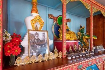 Обезьянам стоит быть осторожнее и беречь свои силы: о чем предупреждает зурхай на неделю с 23 февраля по 1 марта 2026