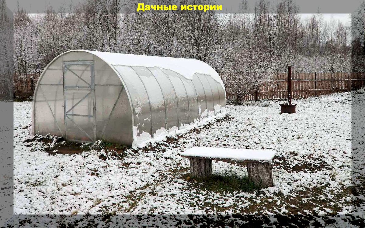 Декабрьские заботы садоводов: как подготовить дачу к зиме