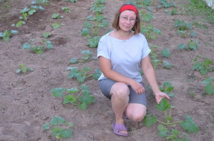 Натуральные удобрения для кабачков и патиссонов: как увеличить урожай