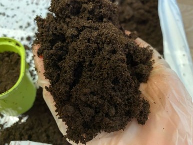 Как подготовить грунт для рассады осенью: советы для успешного урожая