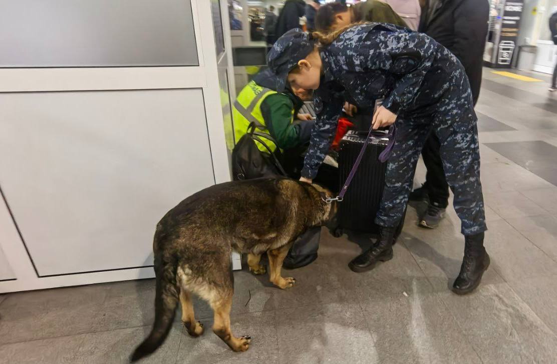 Наркотики у мужчины обнаружила служебная собака в аэропорту Иркутска