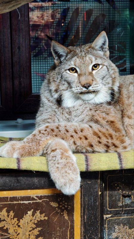 Доброе утро, Иркутская область!