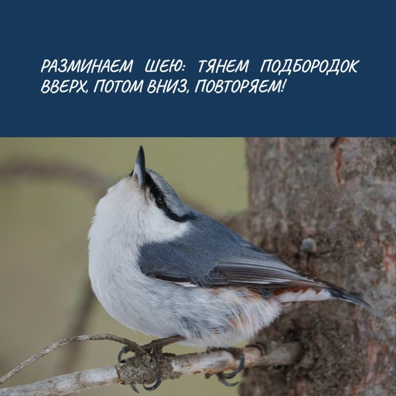 Вливаемся в рабочий ритм вторника по возможности бодро! А чтобы отыскать силы в последнюю неделю зимы (она еще и аномально холодная — среднесуточные температуры воздуха на 716° ниже климатической нормы ), делаем зарядку с...