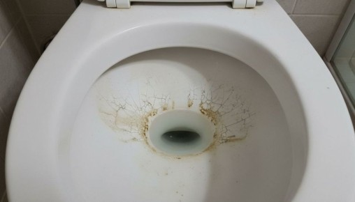 Топ-10 мифов о чистке унитаза