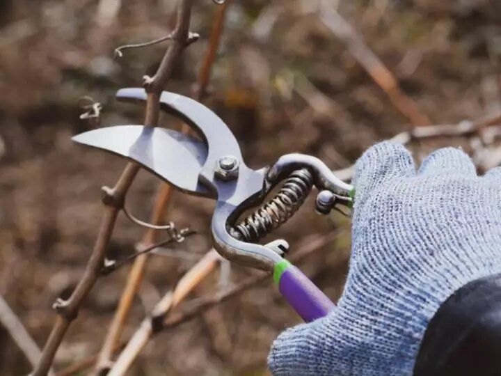 ������ ��������� �������: ���� � ���� � 14 �� 20 �������