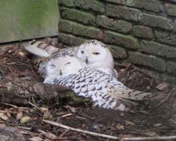 ������ ����, ��������� �������!