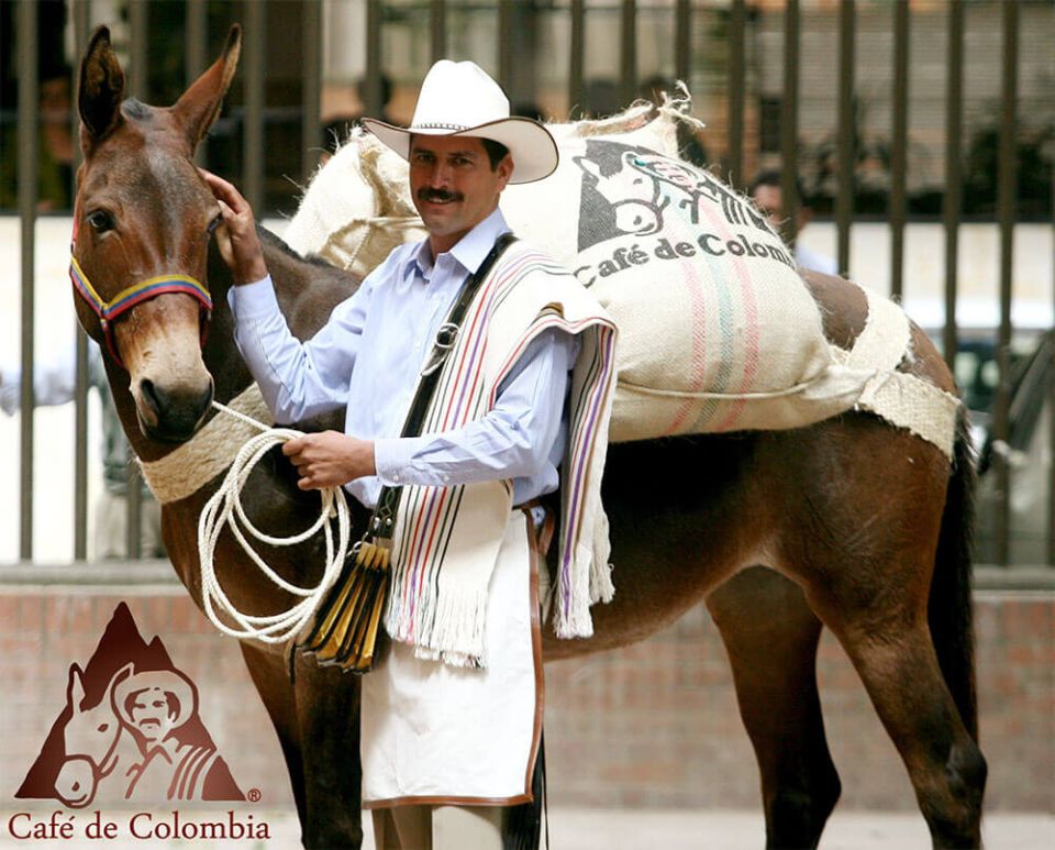 �������� ��� ��������: ��������� �� ��� �����