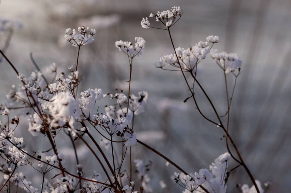 ������ ����!. ������, ����� ������� ������ ����� ������ ��������, � ��� �����