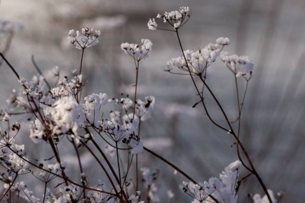 Доброе утро!. Хорошо, когда рабочая неделя вроде только началась, а уже среда