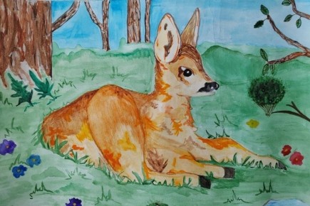 В Иркутской области проведут творческий конкурс «Дети о лесе»