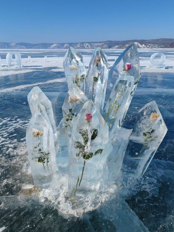 ����������� ��� �������. ����: ����� ���������