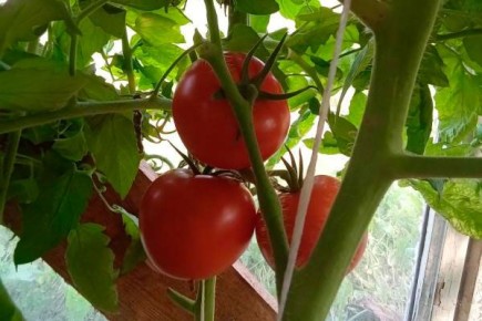 �������� ������� � ����������� ������� ����