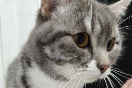 ������ ������� ����� ������ ���������� ��������� ����� �������� �� ��� �����