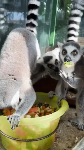 Доброе утро, Приангарье!. Перед началом продуктивного рабочего дня нужно хорошо завтракать