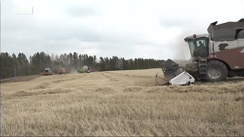 Ӡ�������� ��������� ������� ��������� ����� �����������