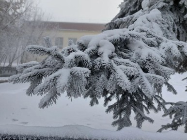 ������ ����, ����������!. ������� ��� ������� ���������� ����������, ������� ��������� ����, ����� ���������, ������-��������� 49 �/�, ����������� -14,-19�, � ���������� ������ ������� -24,-29�