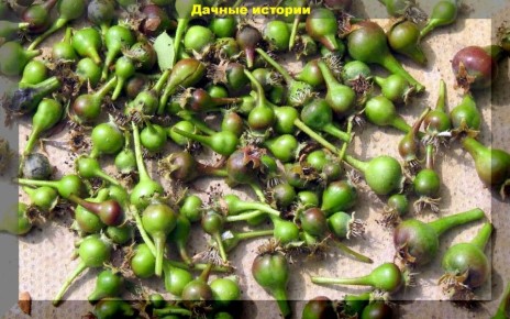 ����������� ��������� ��� ���������� ������� �� �������� ��������