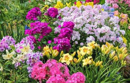 ����������� ����� ��� �����: ���������� �������� ��� ������ ����